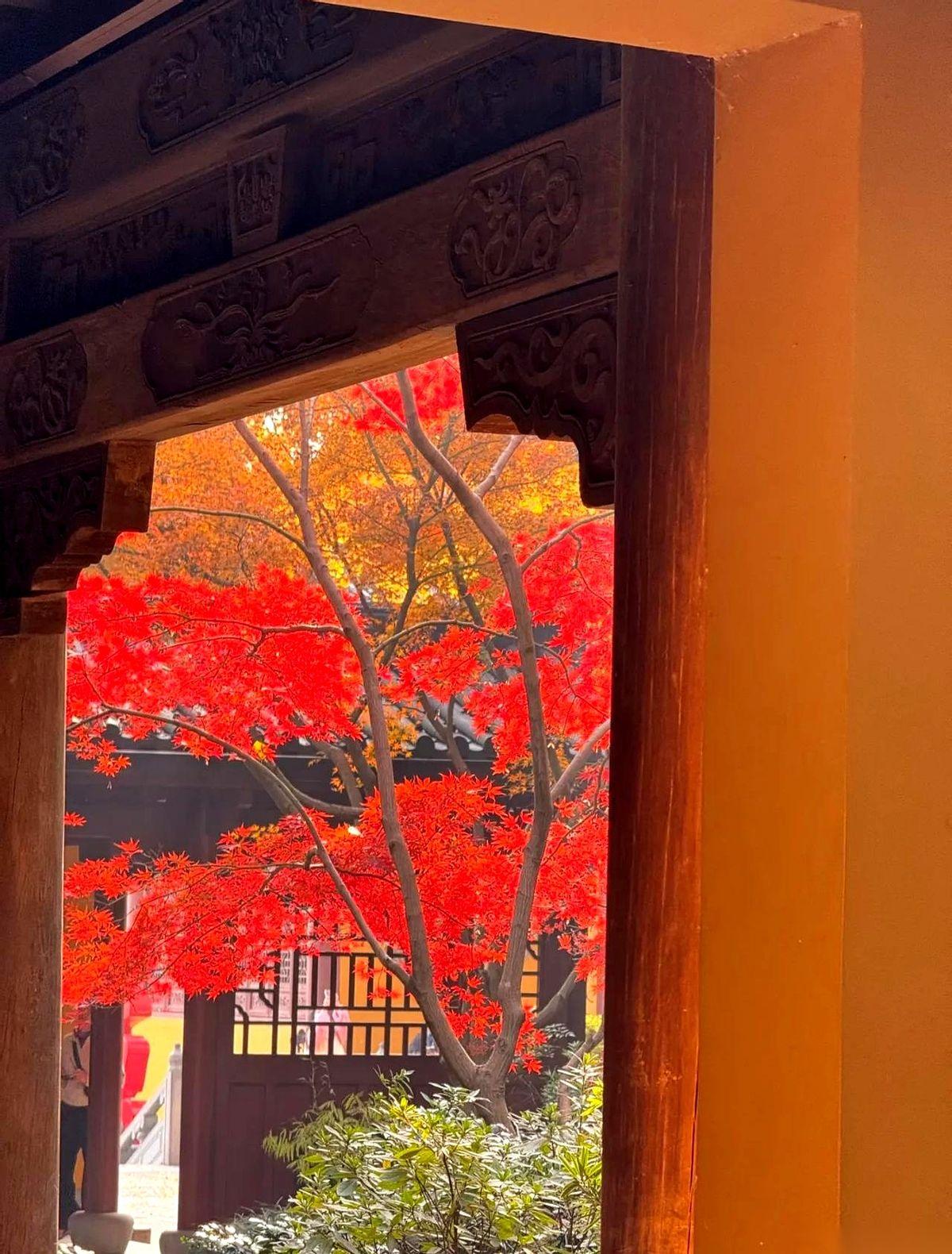 最扎心的是什么？是你兜兜转转受尽委屈，终于想吃回头草了，却发现那片草原，早就盖