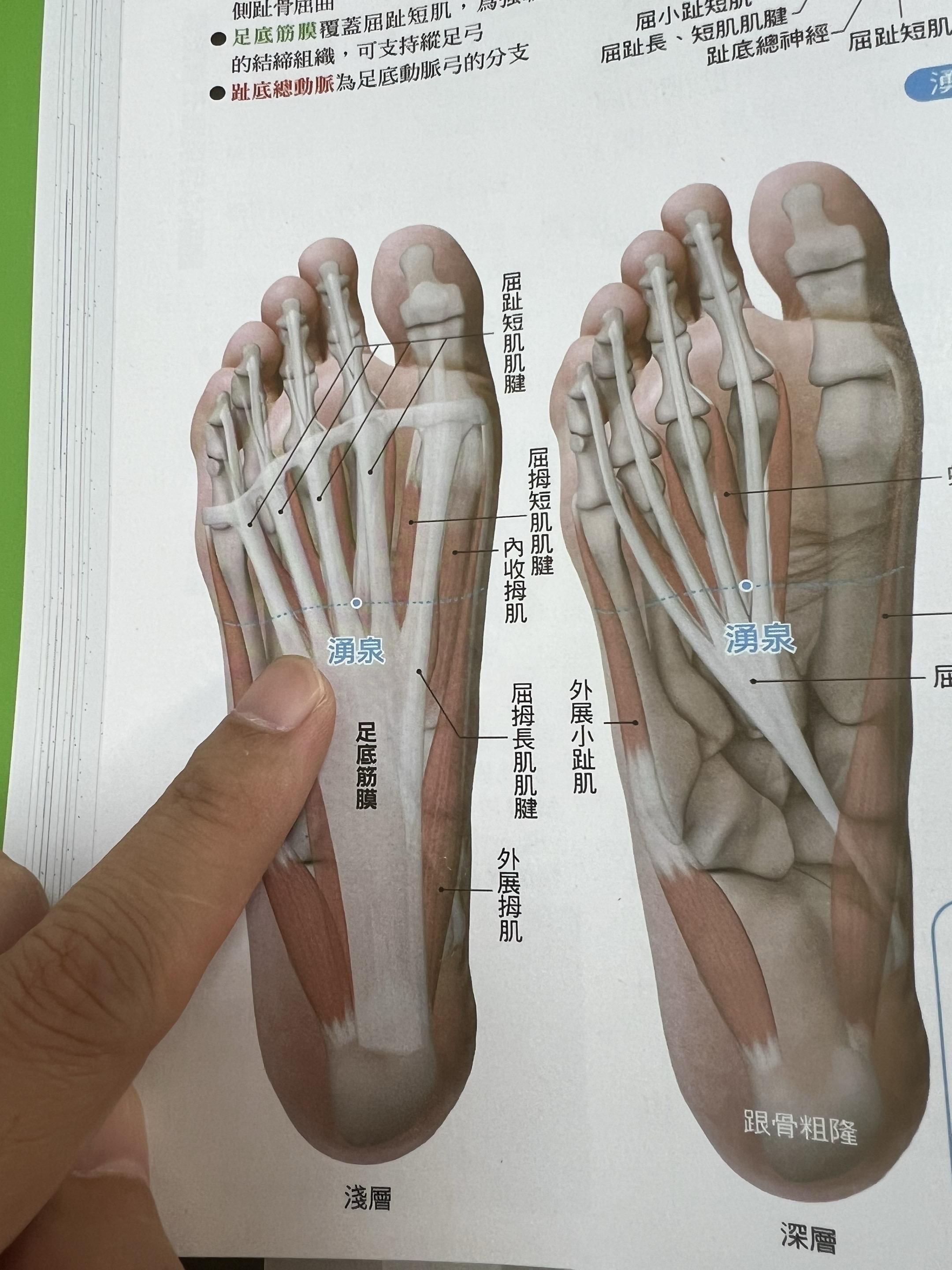 这本书是日本不想给我们看的先辈智慧！流落日本几十年的智慧，终于被我们找...