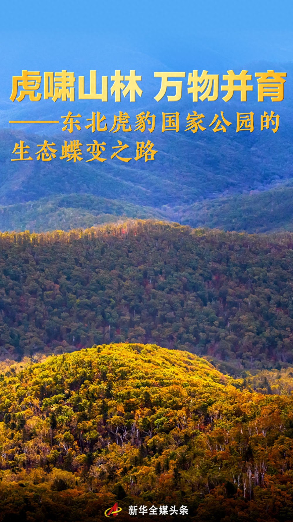 东北虎豹国家公园的生态蝶变之路