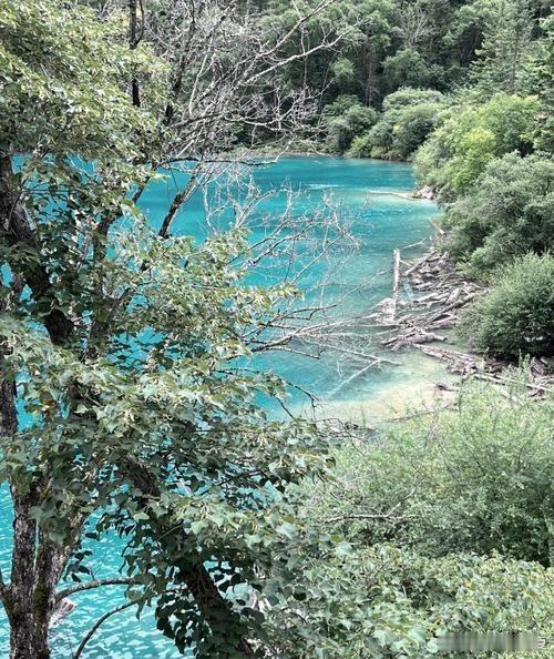 烟雨九寨，碧水凝翠，一山一湖，皆是仙境～​​​