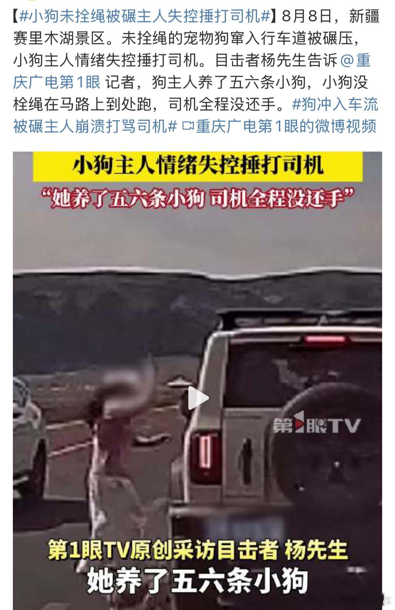 养了宠物就要对它负责行车道放养不拴绳，狗狗如果会说人话，都会先怪主人害了
