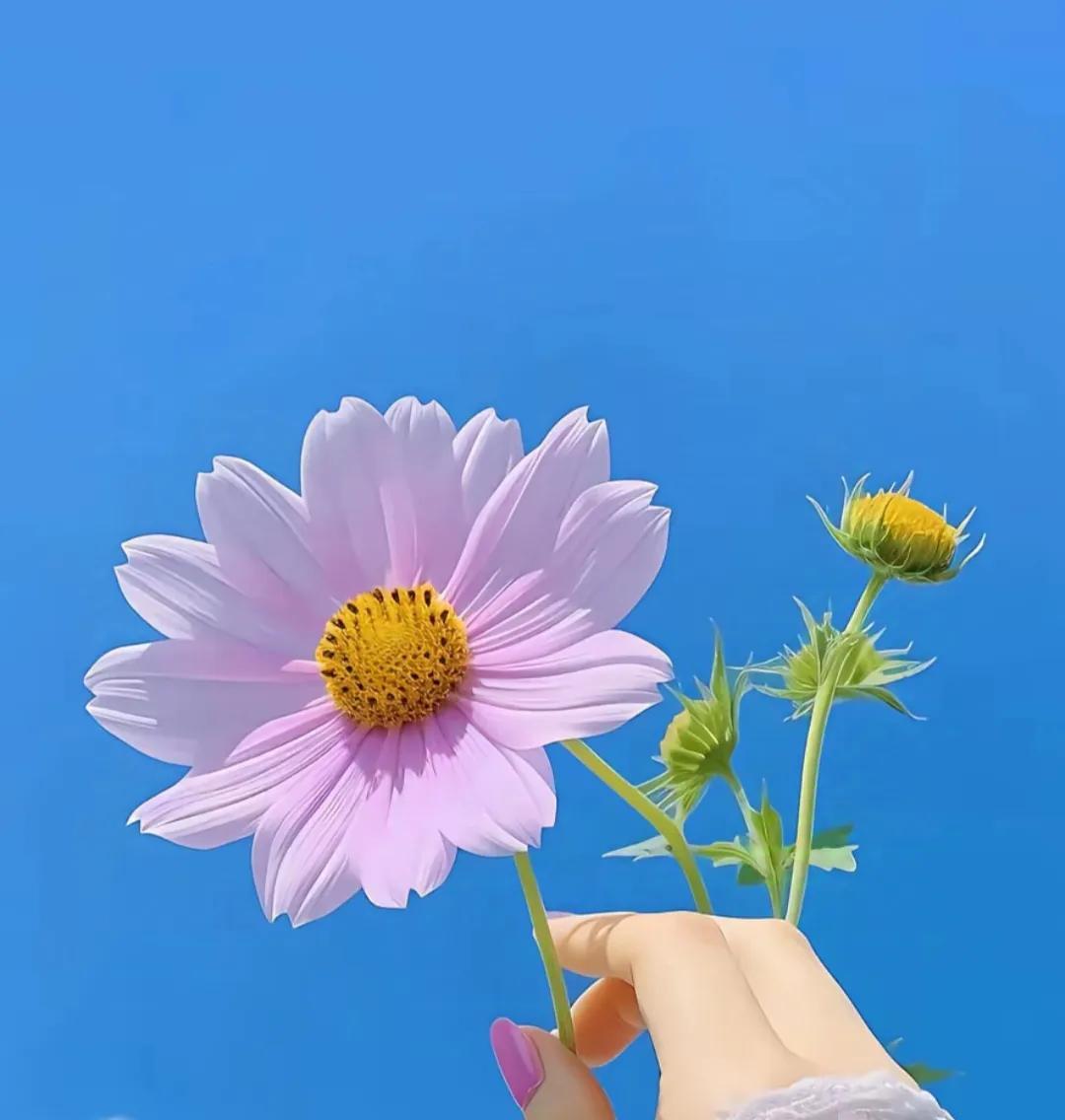 我在一本书中找到了答案:昨天去世的人，或许还在规划着明天。早上去世的人，可能