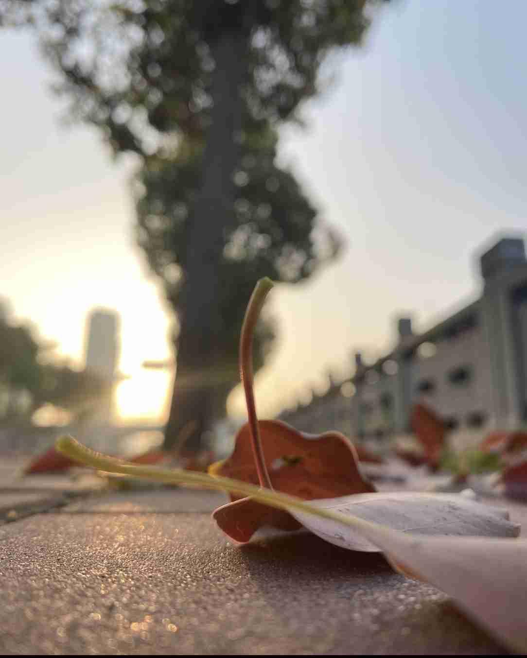 李敖很犀利的一段话：“遇到冲突时，假如你的朋友保持中立，那本质上他是站在了敌人那