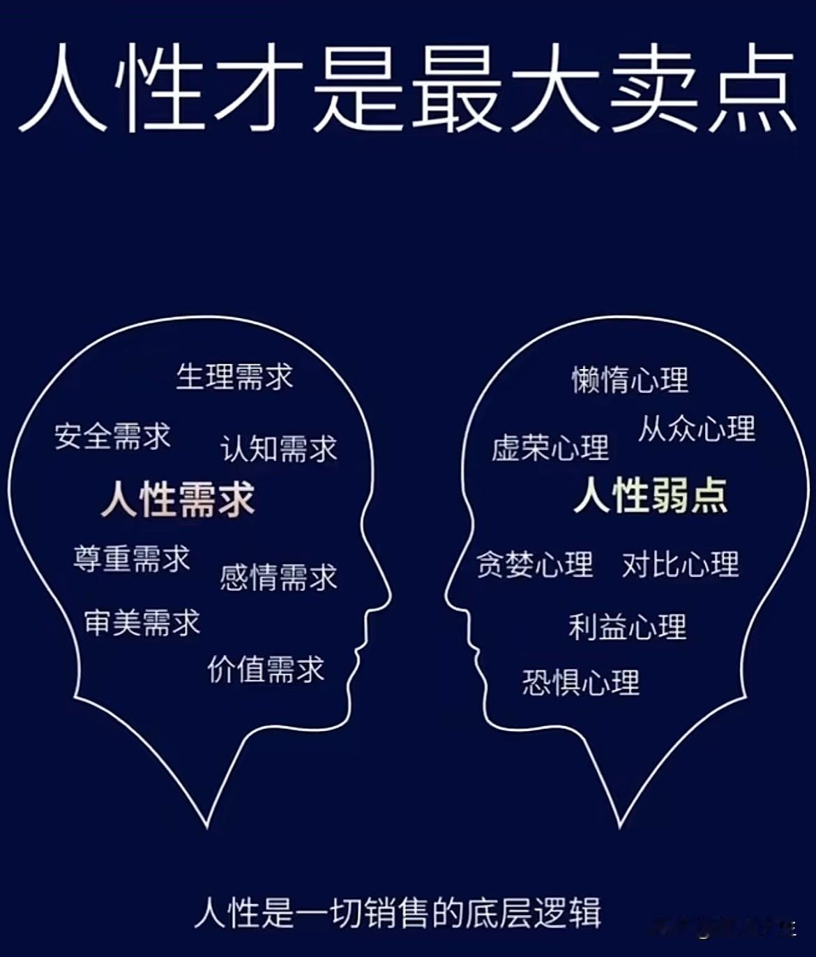人性才是最大的卖点