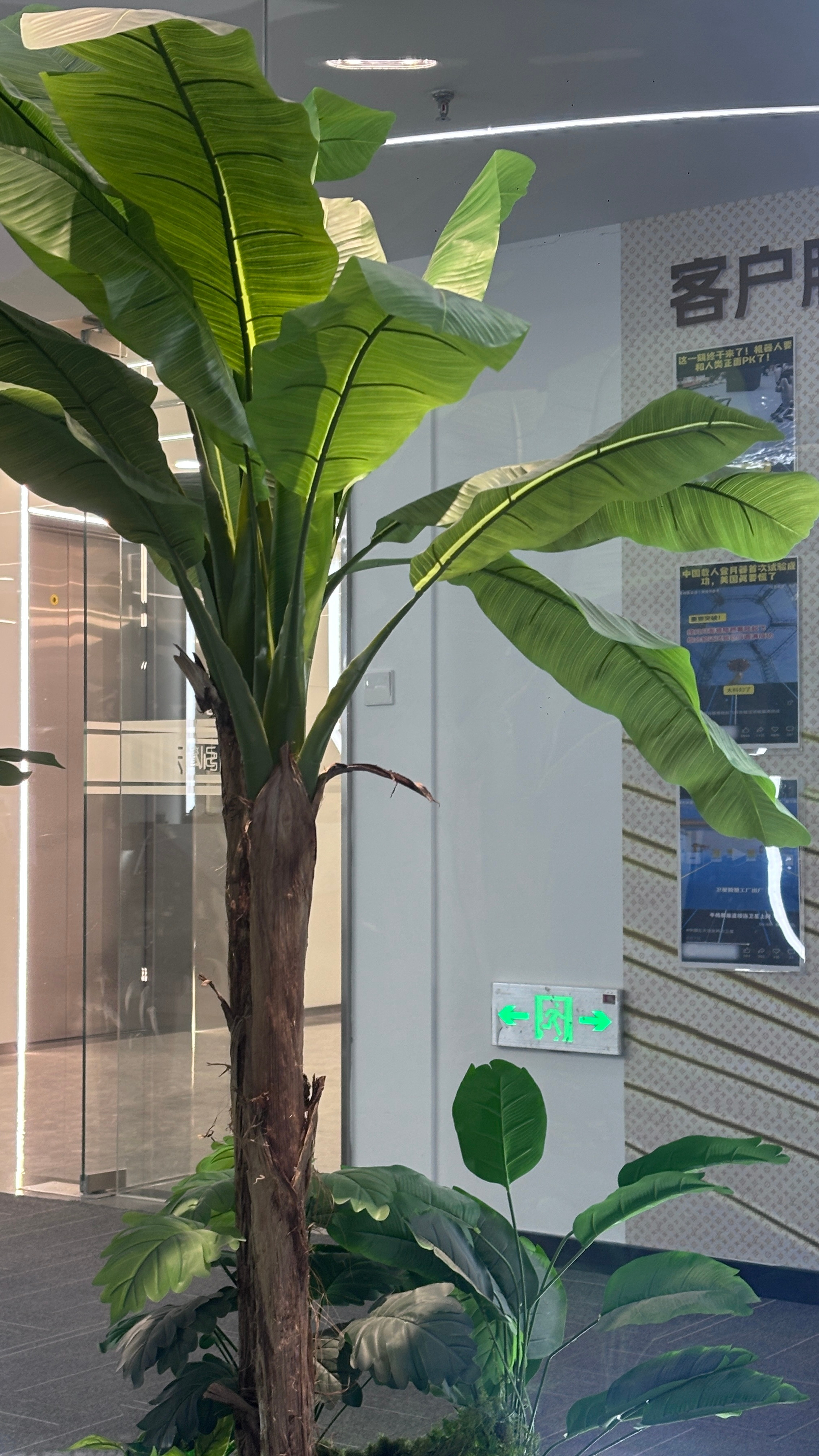 今天来面试，已经三四年没面试了，怎么小心脏还有点紧张呢，抱着试试的态度诚恳的回答