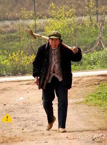 农村真是怪事多多？大家发现了吗？农村里这些事儿，你是不是也偷偷琢磨过？好多地