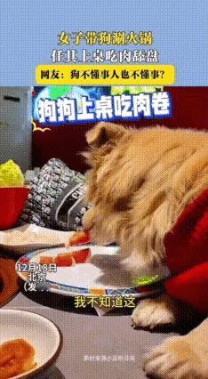 女子带狗进餐厅吃涮肉，让狗吃盘子里的羊肉卷，吃完后还把盘子舔干净！涉事门店很