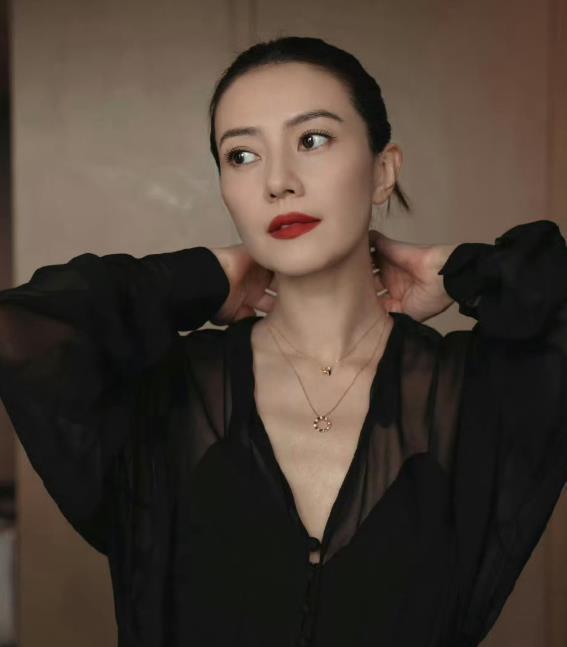 高圆圆穿黑透视衣，没露肉，却让人心头一颤。不是靠身材撑场子，是靠气场压住全场。