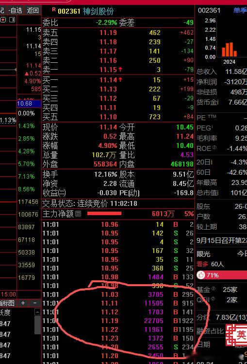 002361神剑股份，好多钱$神剑股份sz002361$​​​