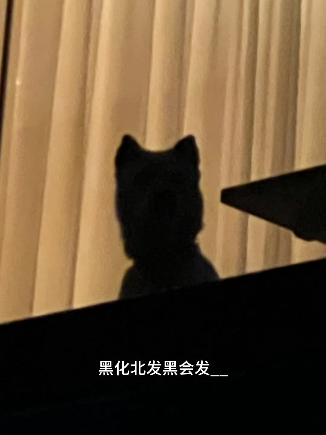 吴磊近期结算画面吴磊的近期结算画面，完全报备日常来的啊有如此宠粉又贴心的磊磊，还