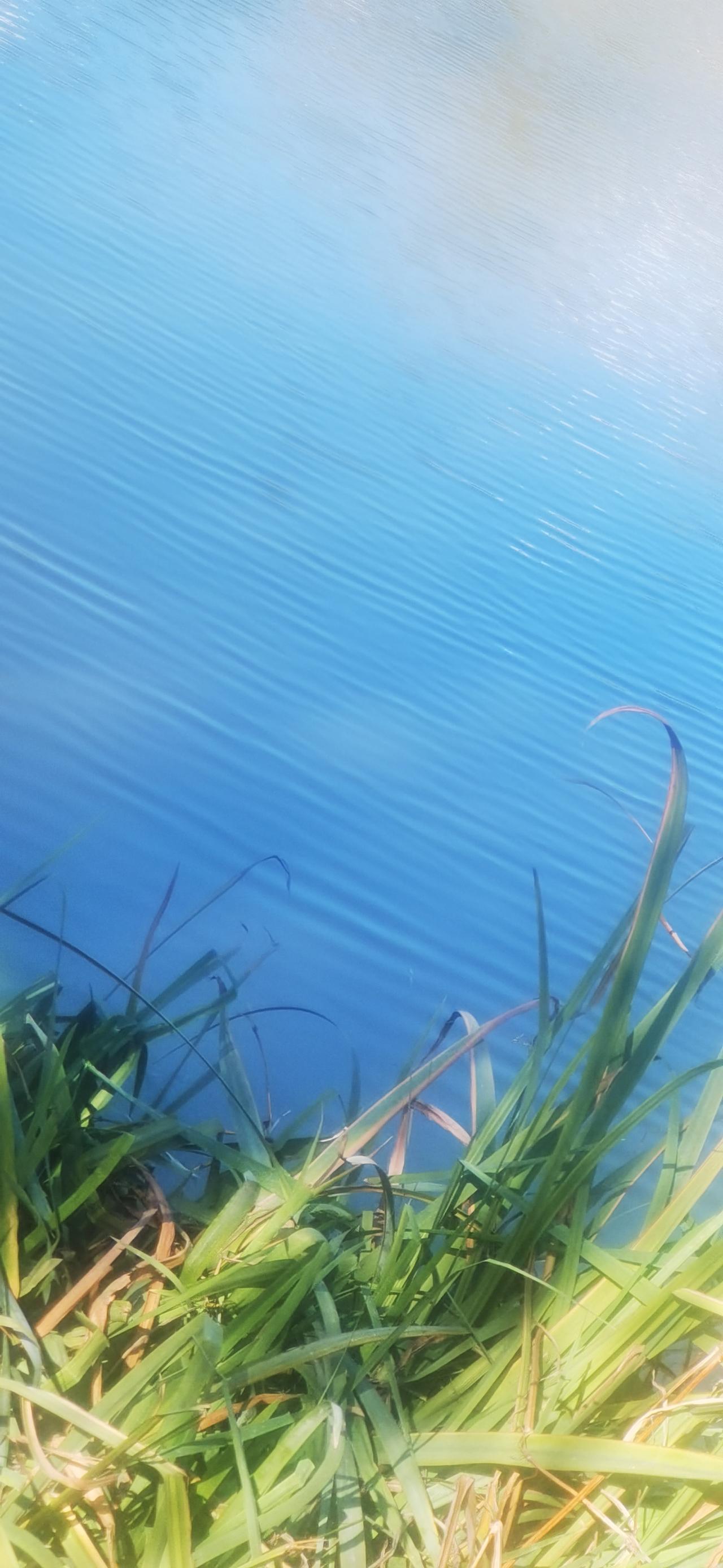 写给初冬初冬的天，博大，纯净而深远。博大到能容得下世人所有的不易，艰辛与