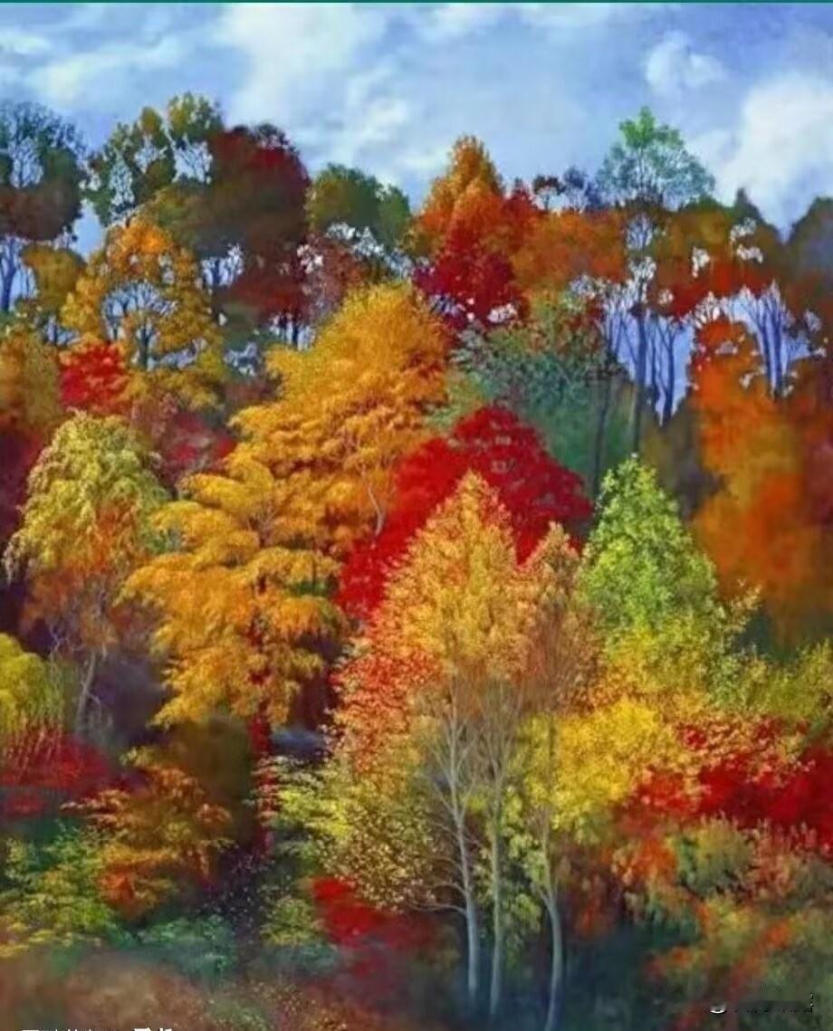 行走在秋天的风景里，感受着独属于它的诗意和浪漫，看岁月静好如常，品身边深情过往