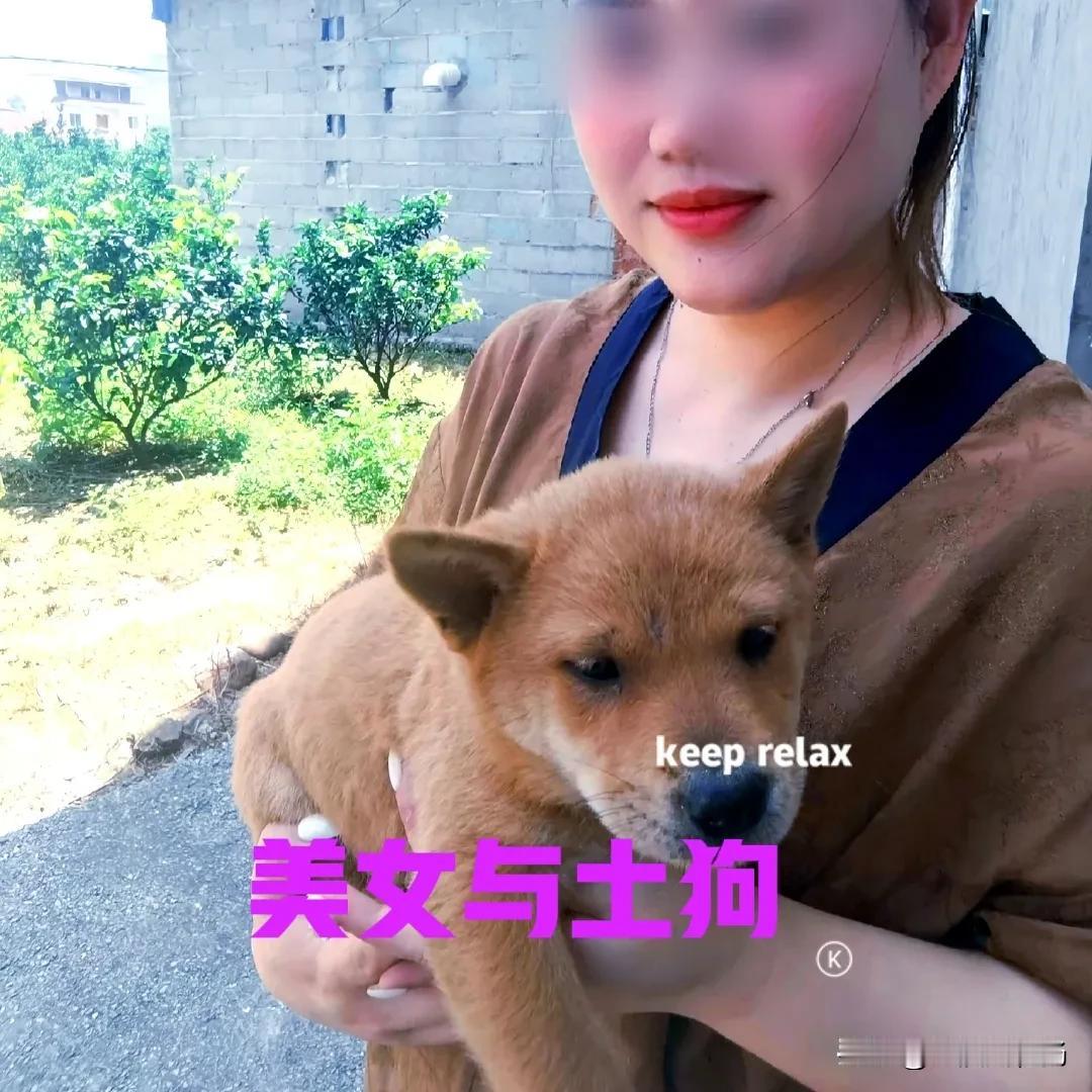 女子在网上买了一只中华田园犬，喜欢的不得了，每天都要晒一下她与小狗的合影。从女子