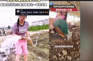 泪奔！女大学生边割麦子边哭：心疼奶奶这把老骨头。视频中的女大学生一边割着麦