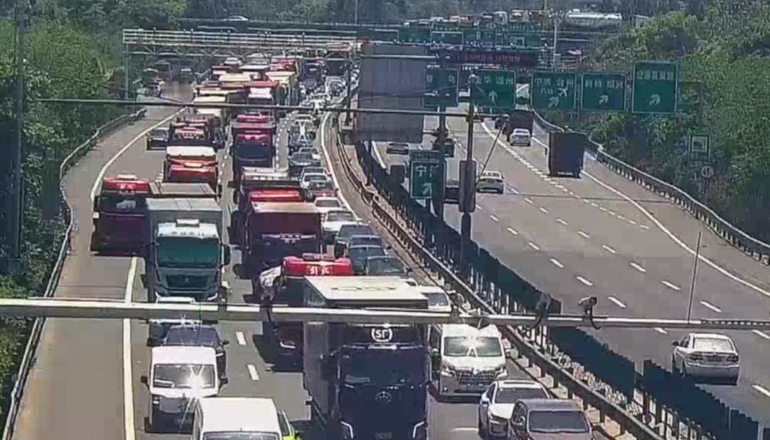 醒醒吧，还在为“省油钱”抢电车？把这笔账算完，你可能发现自己被卖了这个五一假期