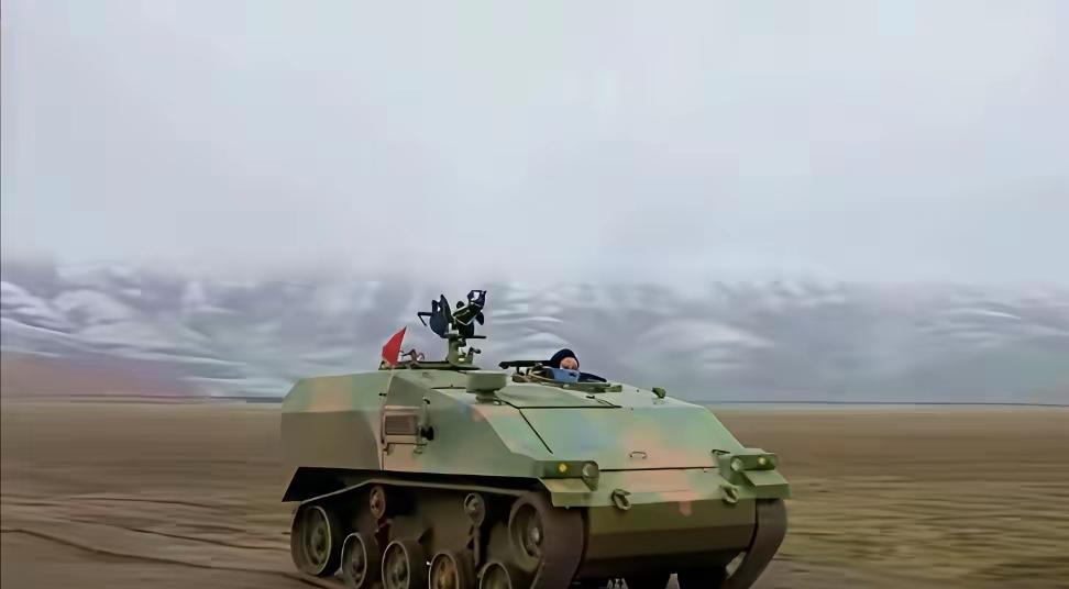 哈哈，熊猫家这迷你战车有些日耳曼风格，科技与武器，本应吸取百家之长，洋为中用嘛，