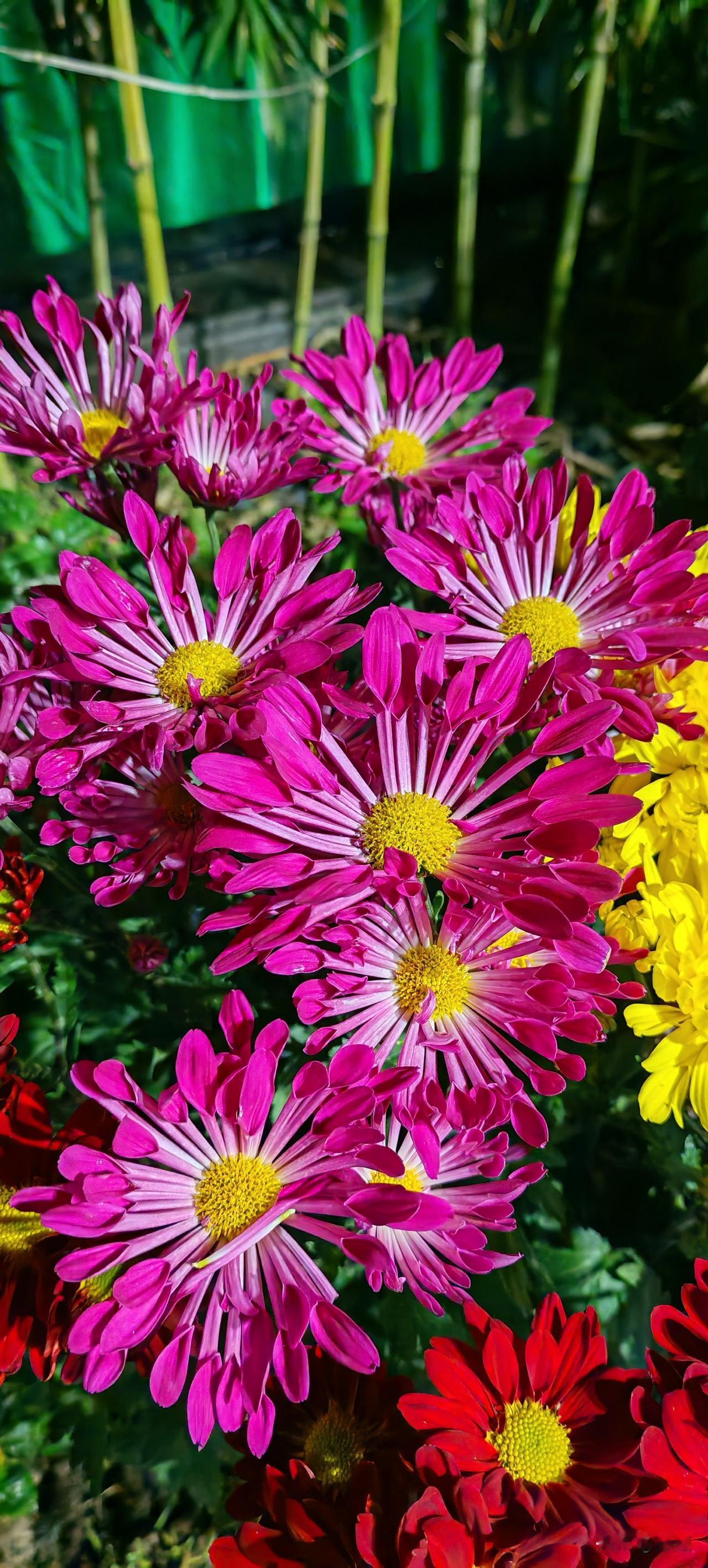 旁观者清。48岁女子离异十几年了，年收入30w。半年前网上认识一男的52岁，异