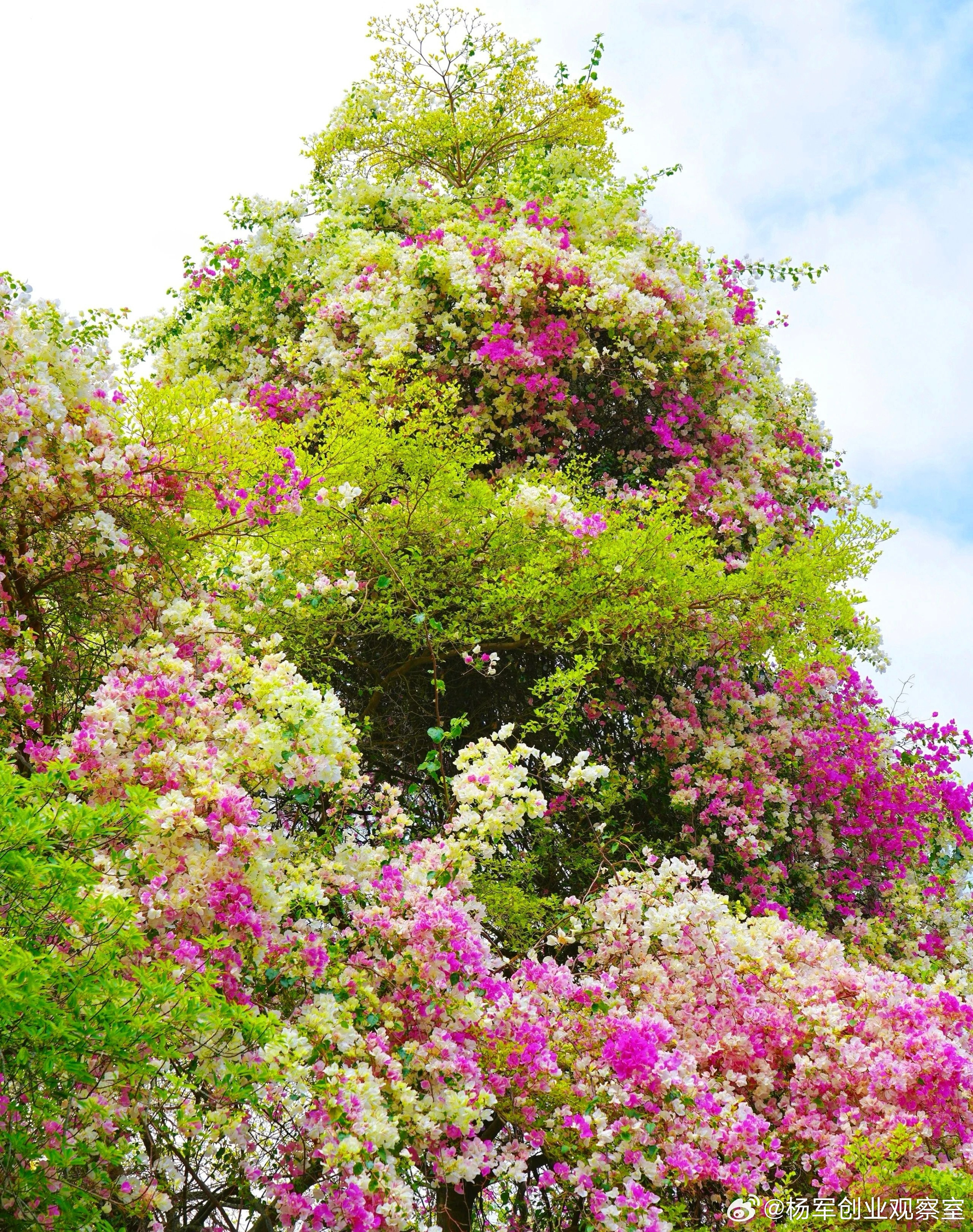一家连锁四店陷瓶颈：业绩连跌三年，人才流失，扩张无望。一套“三重合伙人”动态方案