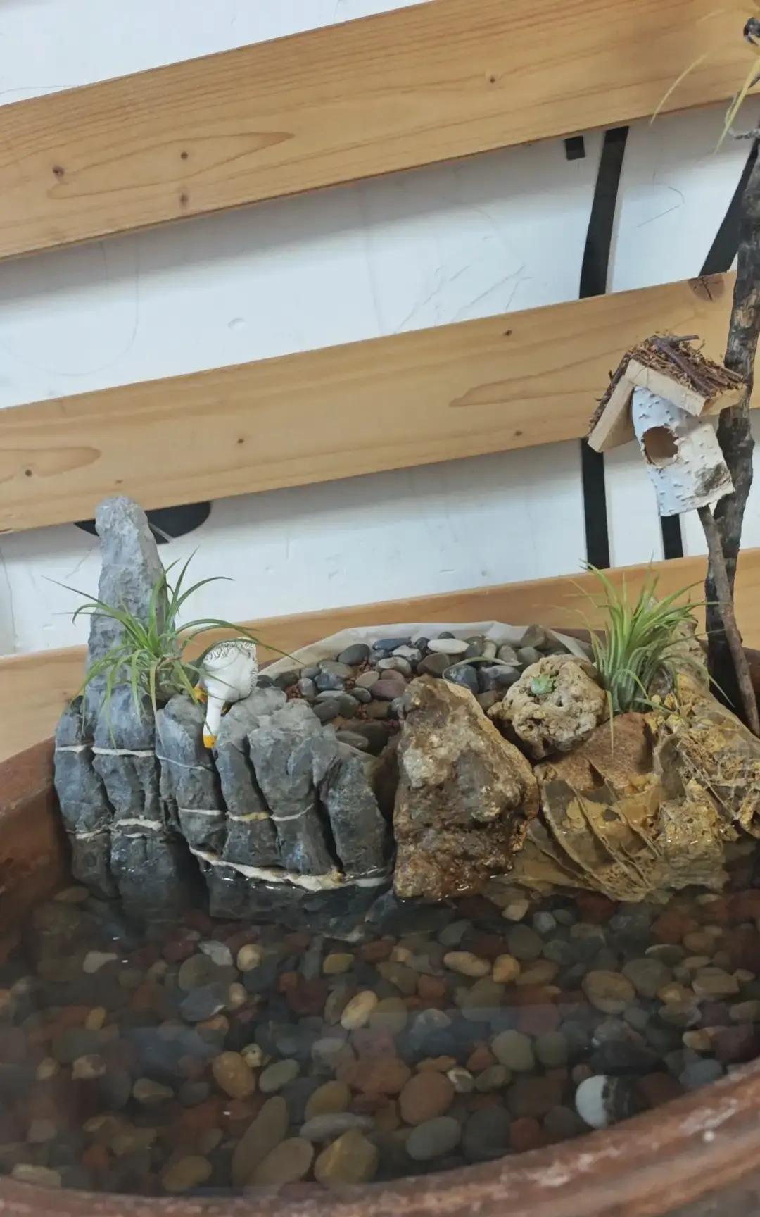 刷到个帖子说有人相亲被坑饭钱，结果遇到另一个同样被骗的薛大宝。俩人凑一桌AA，