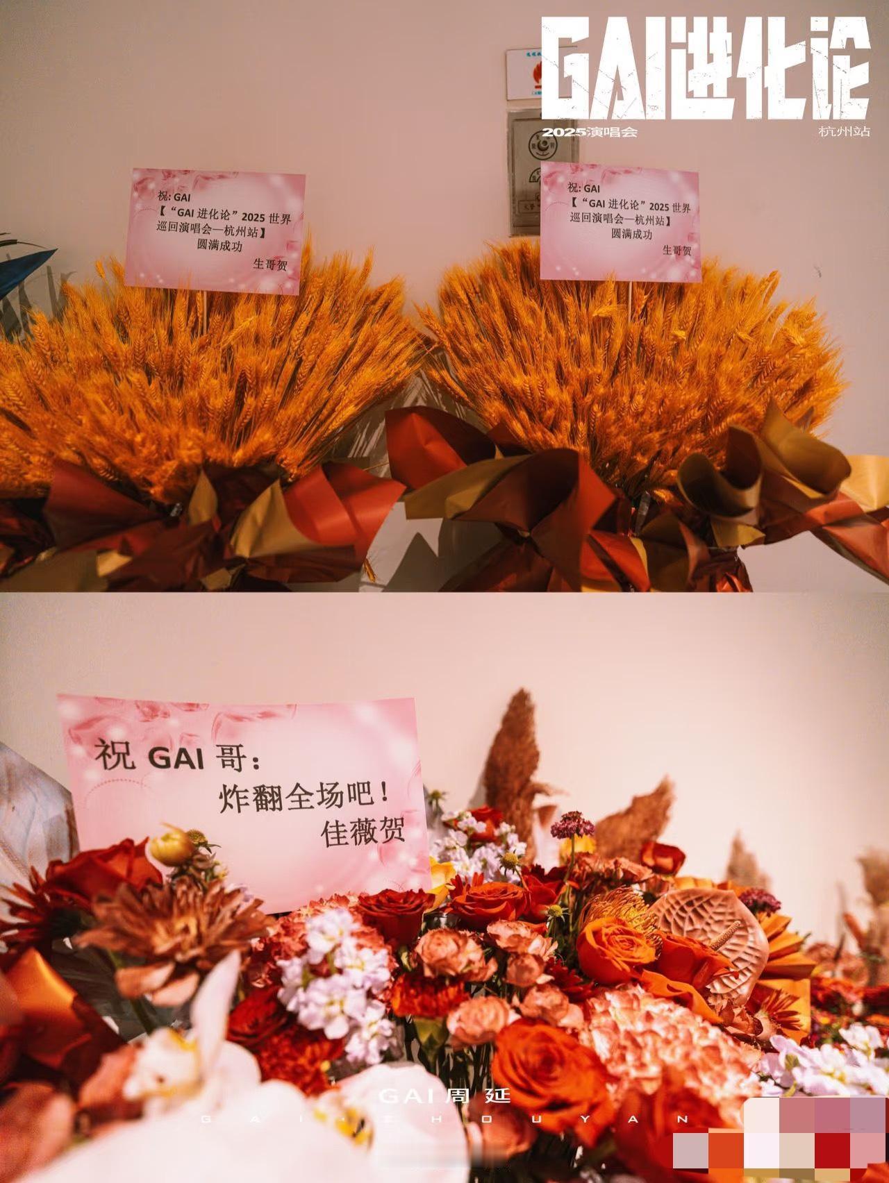 《GAI进化论》杭州站演唱会，陈楚生、李佳薇等都送上了花篮。今天即是GAI杭州