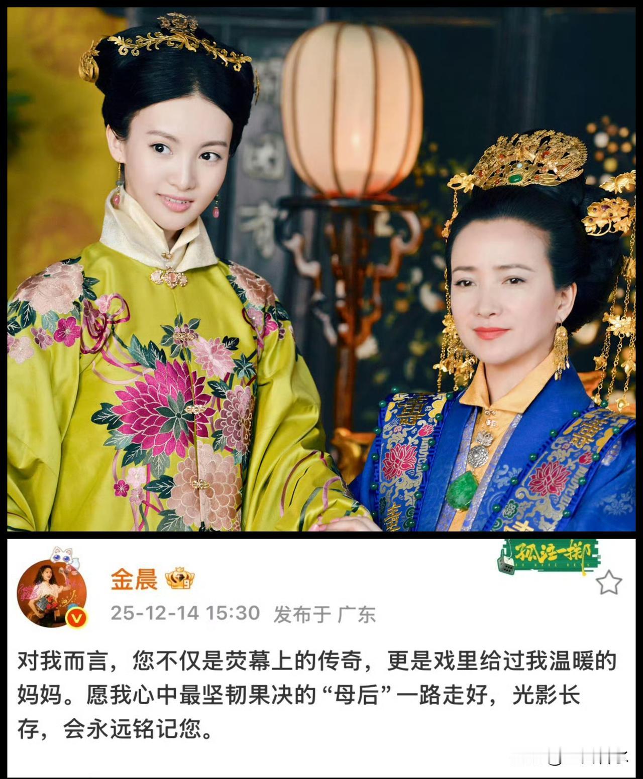 金晨发文悼念何晴:“对我而言，您不仅是荧幕上的传奇，更是戏里给过我温暖的妈妈。愿