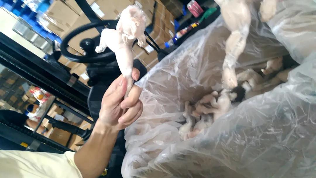广东饶平发布情况通报