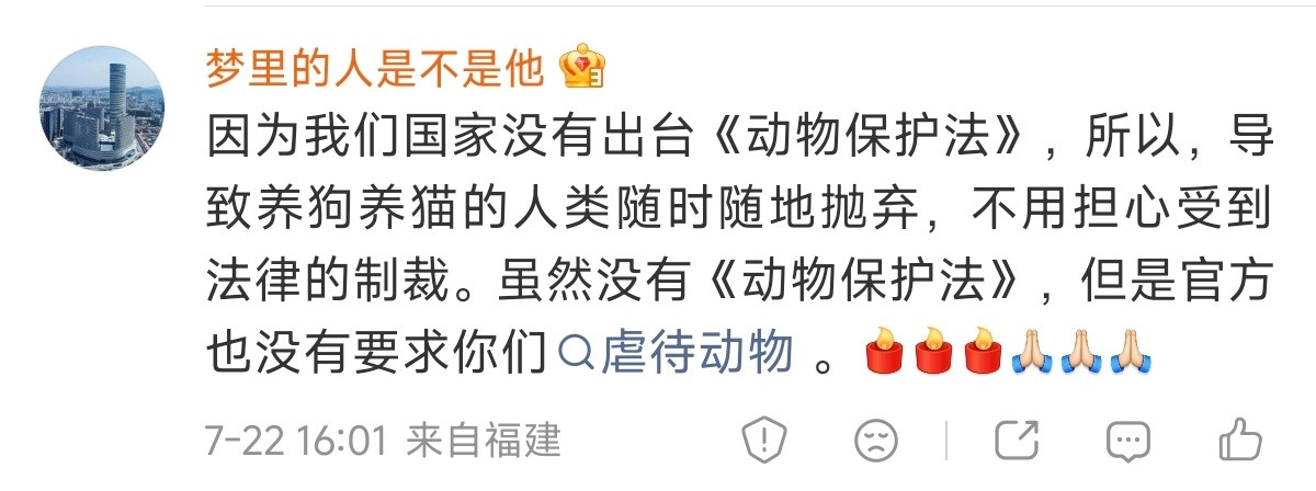 果然有些养狗的只遵守对自己有利的法律
