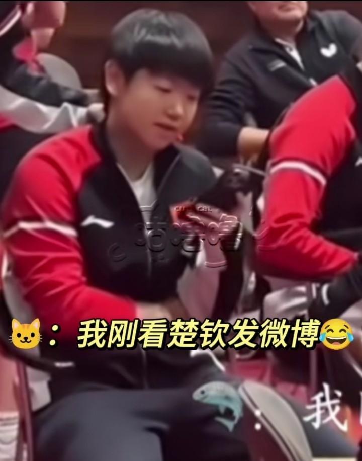 “我刚看楚钦发的微博！”她说的是楚钦而不是大头，她知道他不喜欢别人喊他大头！以