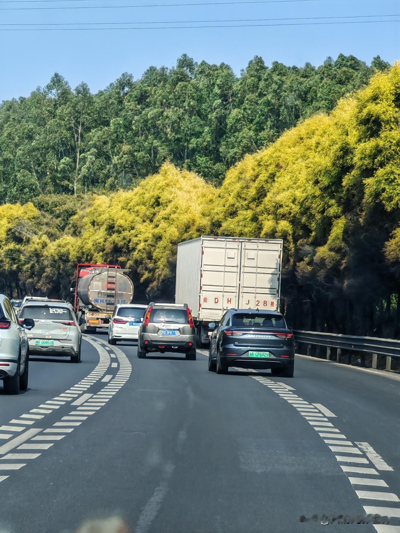 今天大年初四，春节假期过半，我正从东山岛自驾去泉州，高速上车流如织。东山岛到泉州