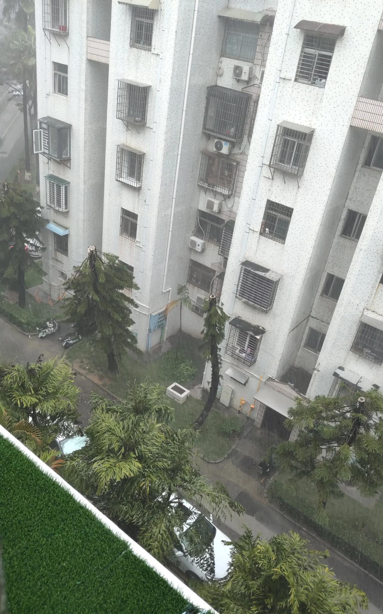 厦门这雨可真不地道，越下越猛，天都黑得如同被一块大黑布给罩住了。回想之前暴雨席卷