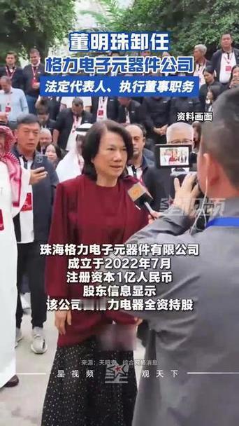 72岁的董明珠“卸任”了！但很多人不知道，卸任前，她刚干成一件让整个新能源行业目