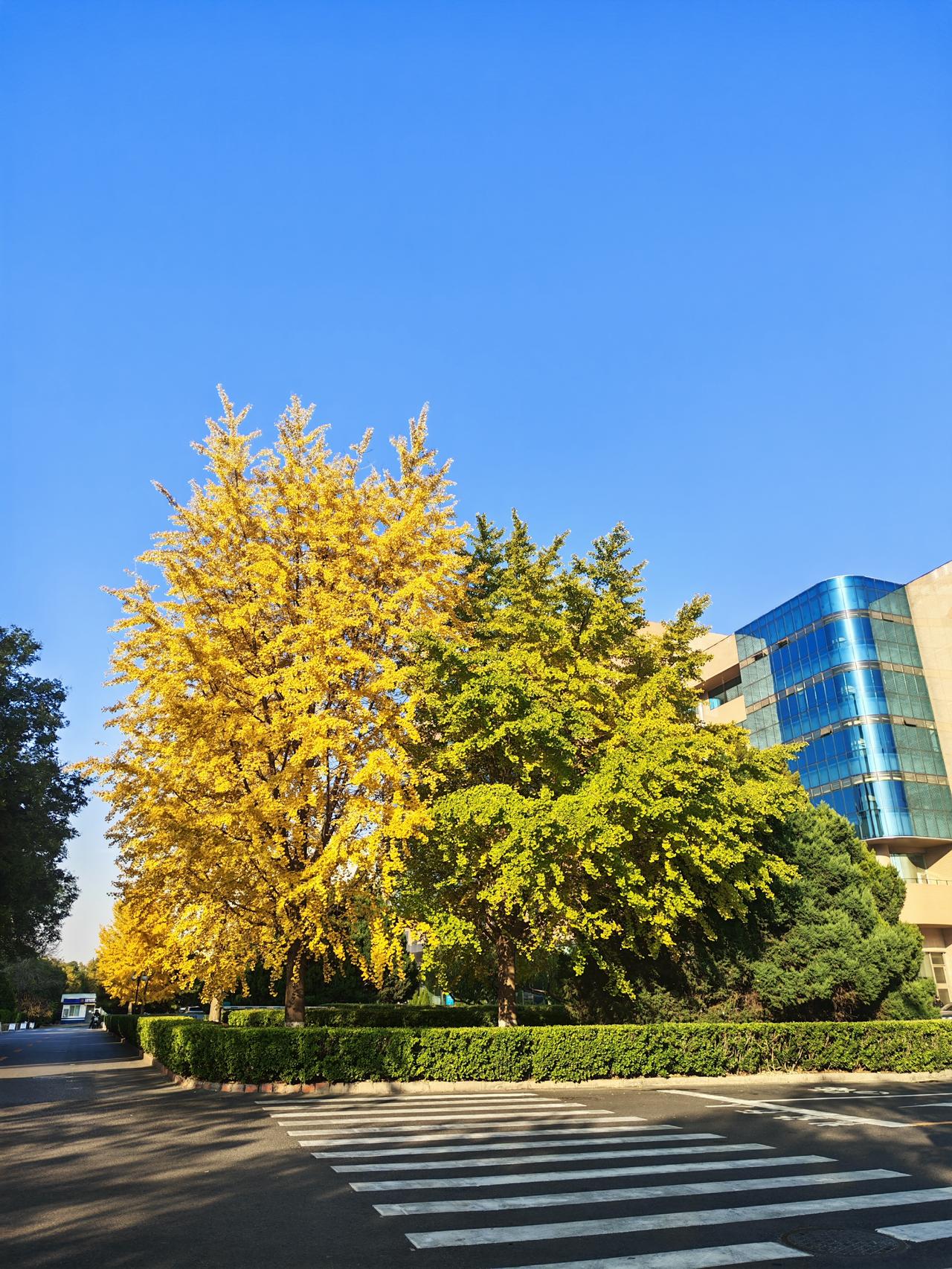 上周五，同事一怒之下把股票清仓了。原因是因为：被公司降薪了，没力气玩股票了。