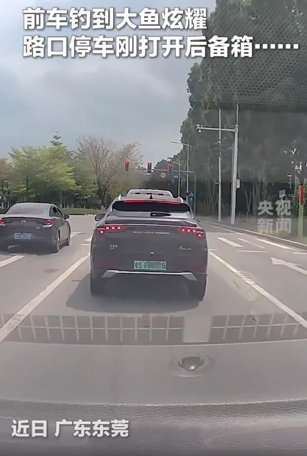 不作死就不会死！广东东莞，一男子钓了条大鱼，开车回家的路上就忍不住炫耀起来，等红