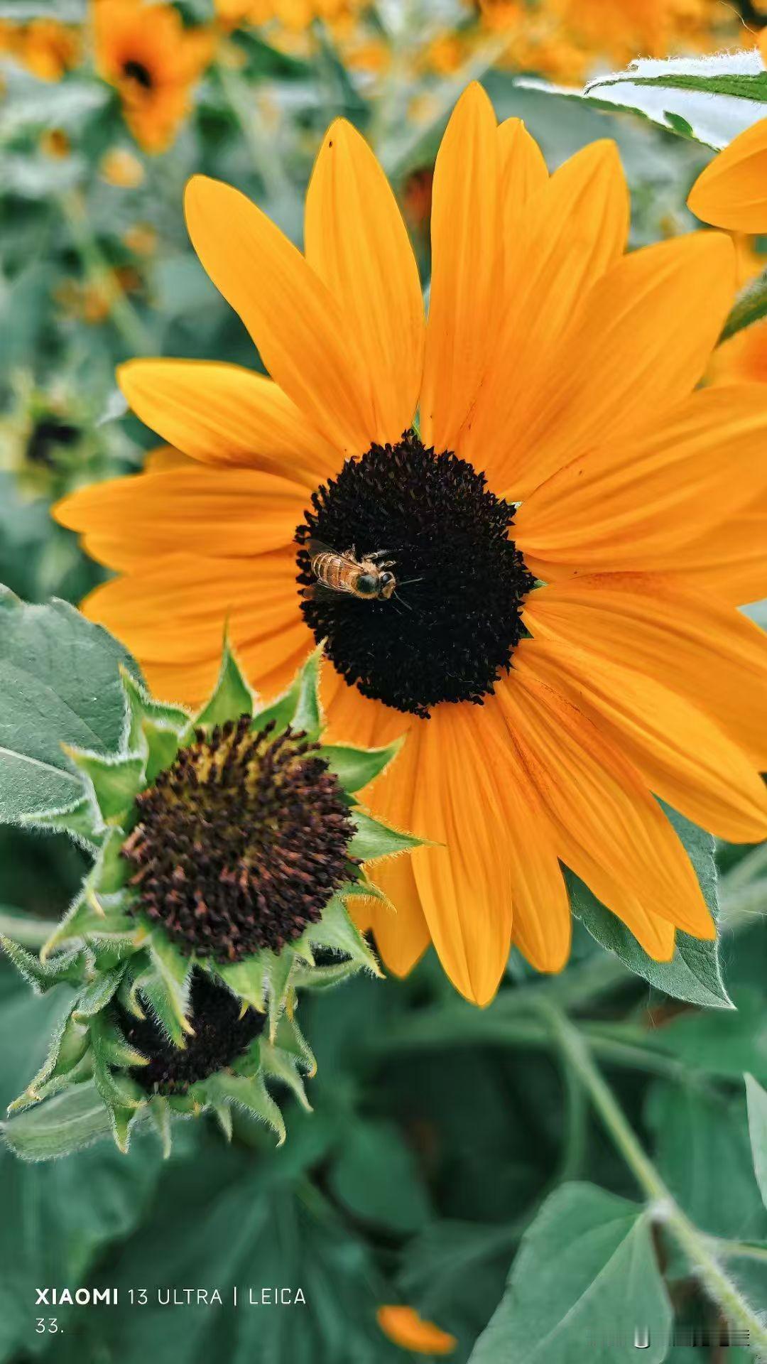 活到这把年纪，最真切的感悟就是：人生哪有什么标准答案，舒服自在地活着，比啥都强。