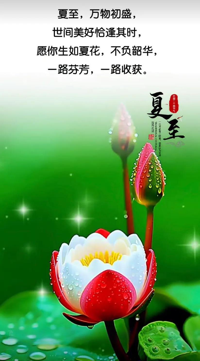 夏日清凉问候，早安愉快！