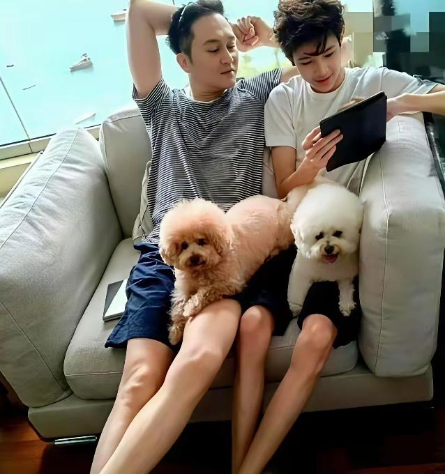 终于看到一个最帅的星二代了，娱乐圈很多明星的子儿长得都不如父母的，大美女林青霞的