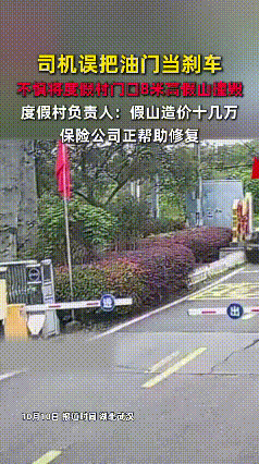 吓出一身汗！司机错把油门当刹车，8米假山垮了，造价竟这么多今天广州某度假村