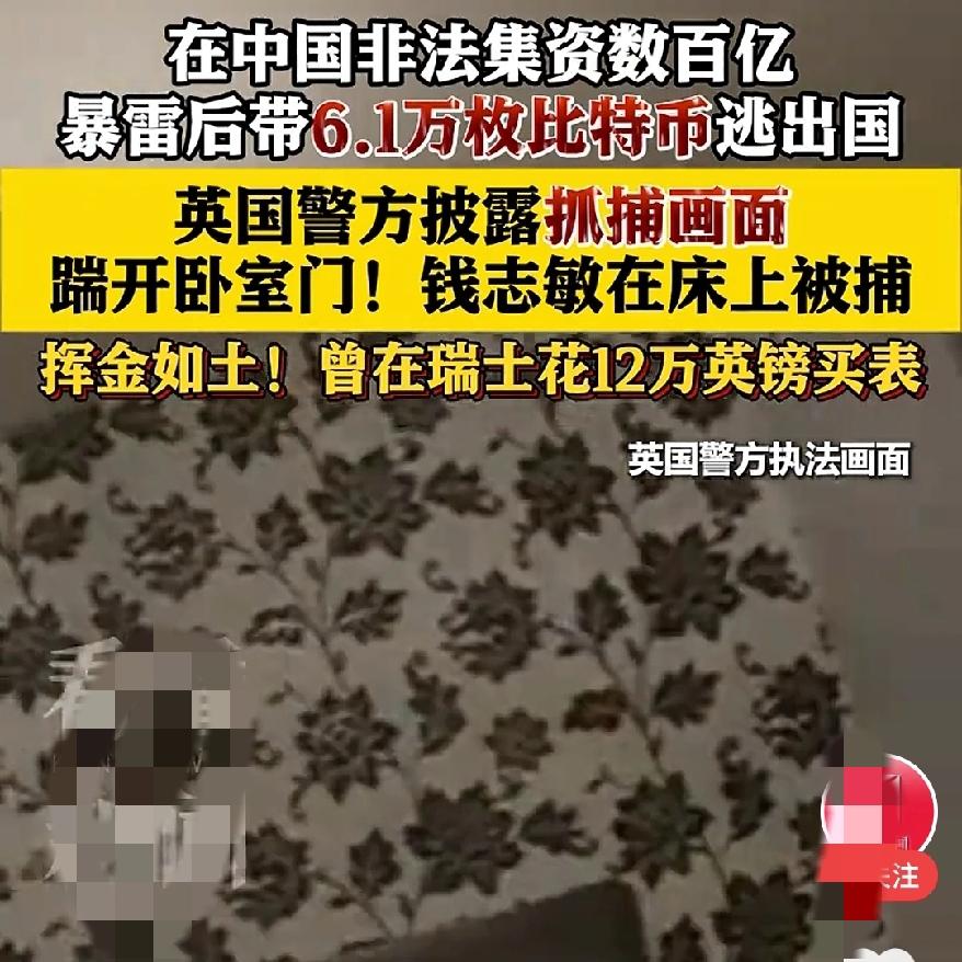 价值500亿的最大比特币洗钱案钱志敏被抓，从头到尾看了那个新闻，哪里是“跑路