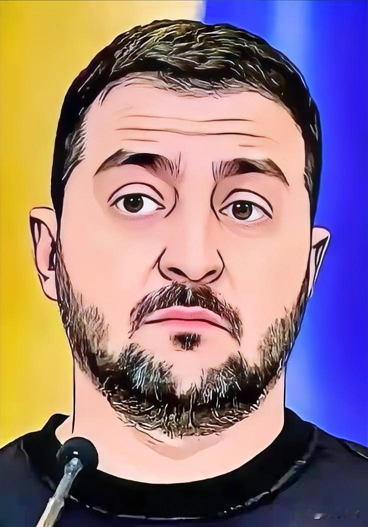 面对特朗普的28条，泽连斯基还有四张牌可打：第一张牌：主动辞职。通过辞职保全个