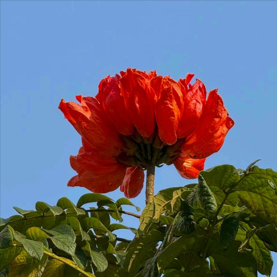 镇江迎来新的主要负责同志 近日，70后的管理科学与工程博士吴庆文履新该市。