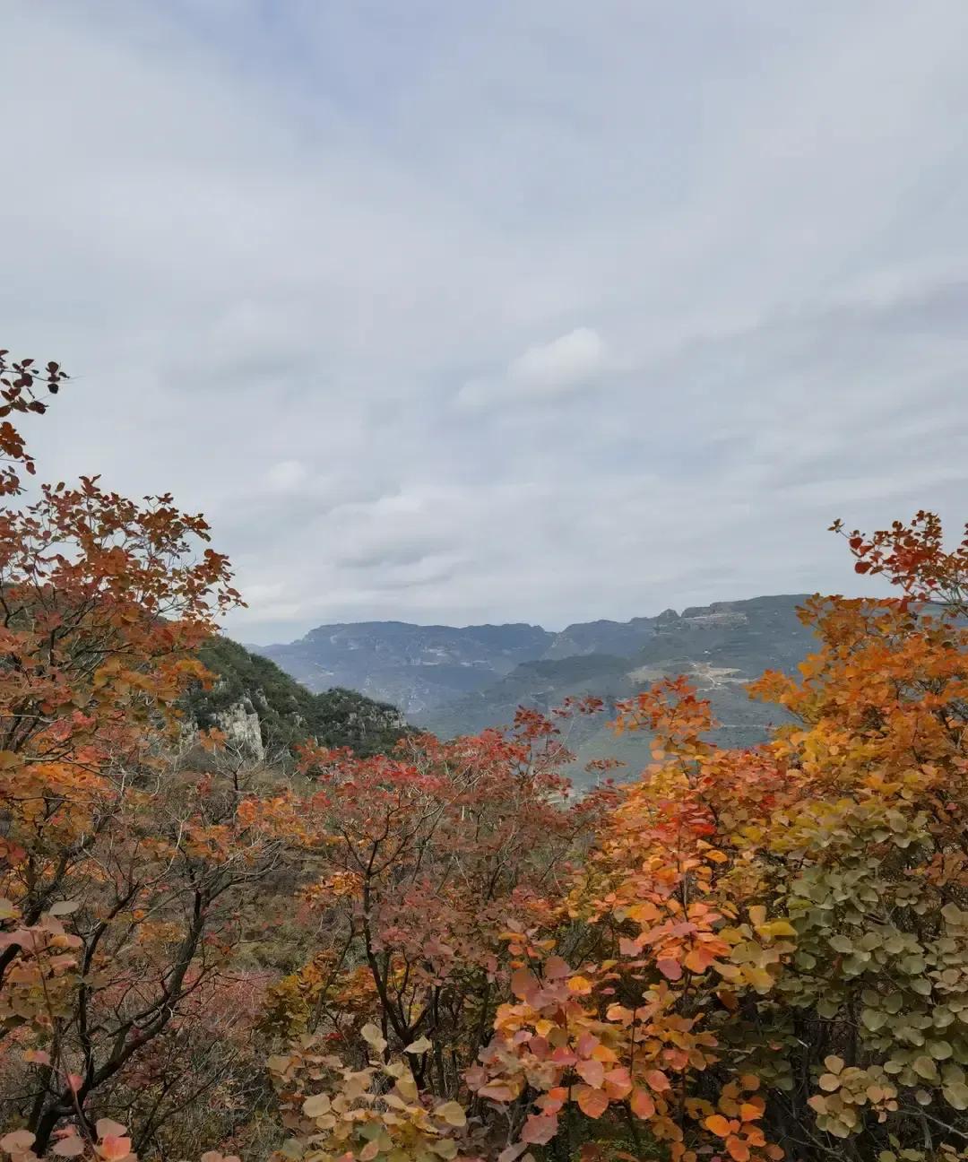 石家庄相亲角里，月薪四千的国企小伙被直接跳过。媒人一句“没房免谈”把天聊死。
