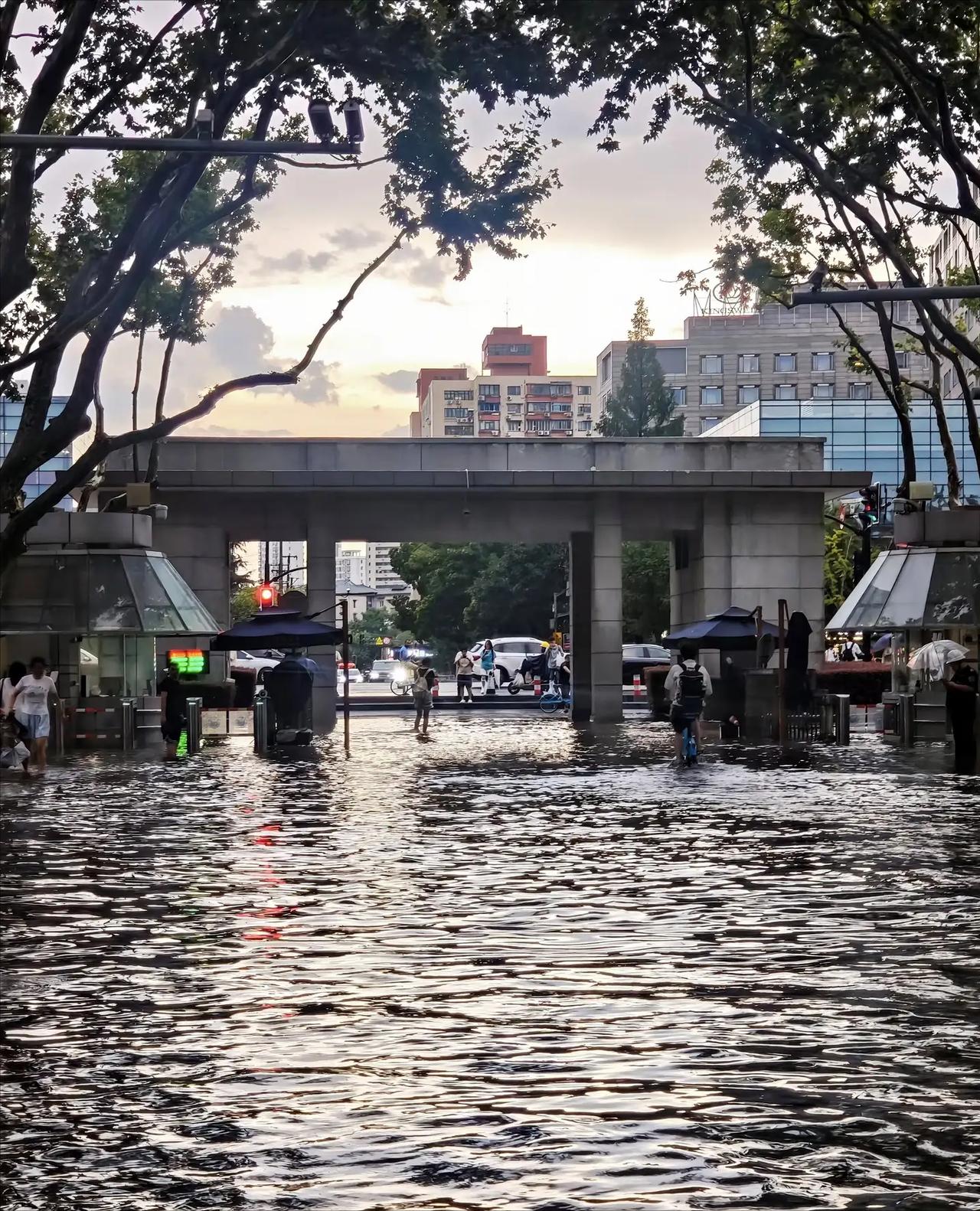 上海每一次大暴雨，好像杨浦区都首当其冲，图一：全球给排水专业第一的同济大学再受重