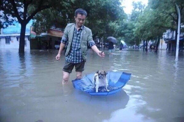 愿每个生命都能被这个世间温柔以待！