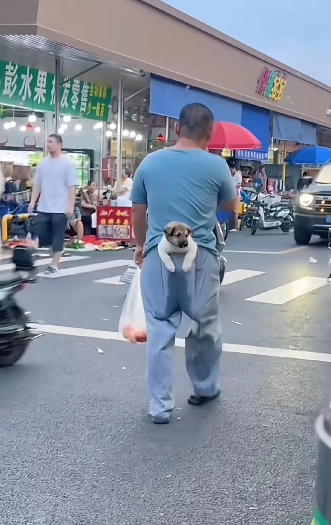 今天逛街看到一位大哥为了方便带狗狗，在自己的裤子后面做了一个大口袋，把狗狗装在屁