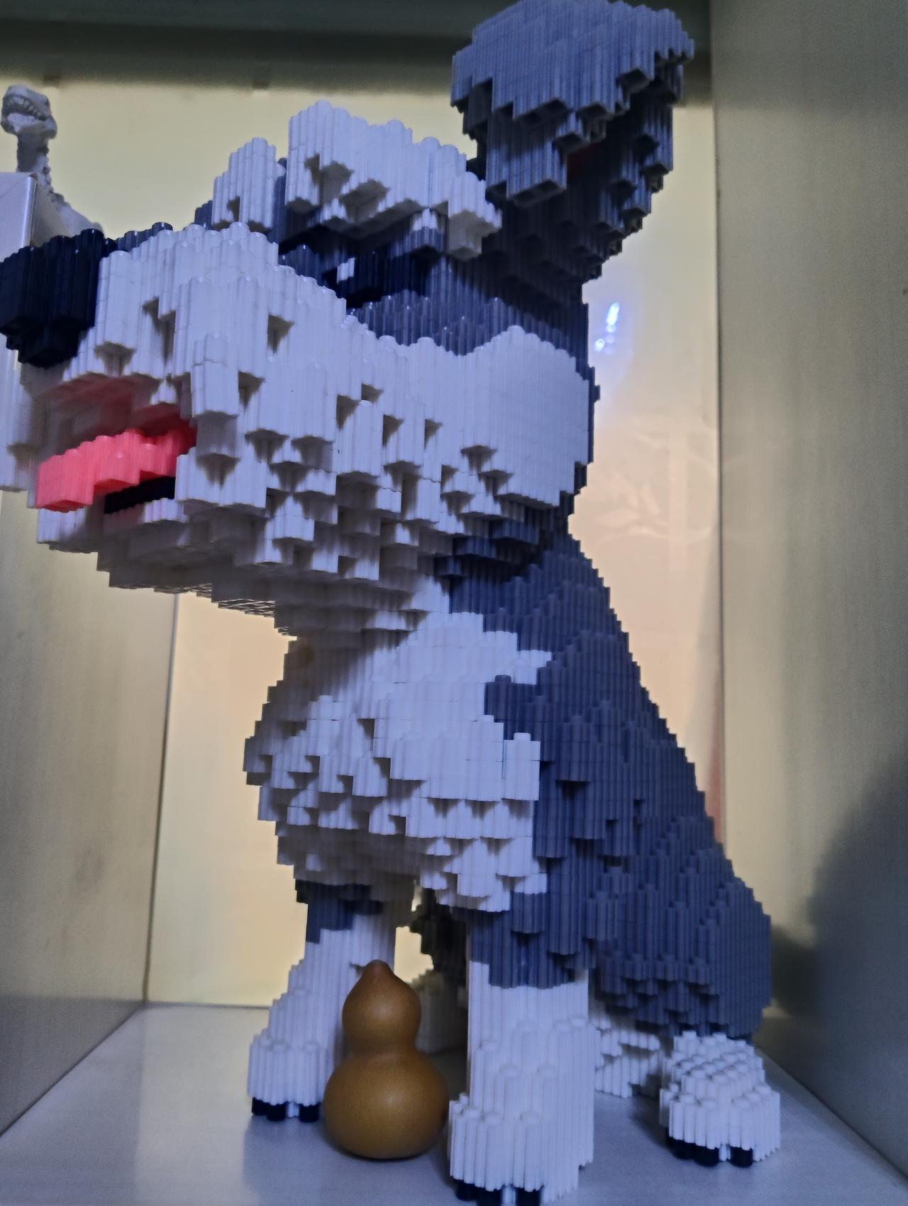 看到这个积木拼的小狗，我真的被惊艳到了！能把小颗粒积木拼成这么立体、细节还这么到