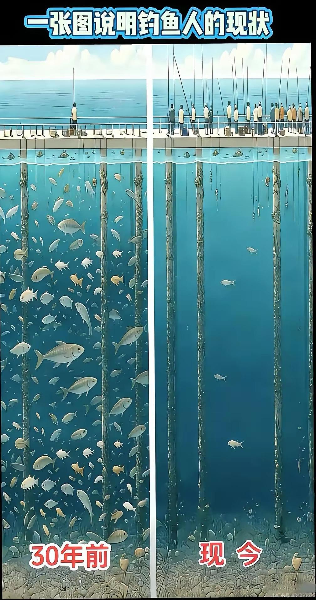 为什么要禁钓，这也许就是最好的答案吧