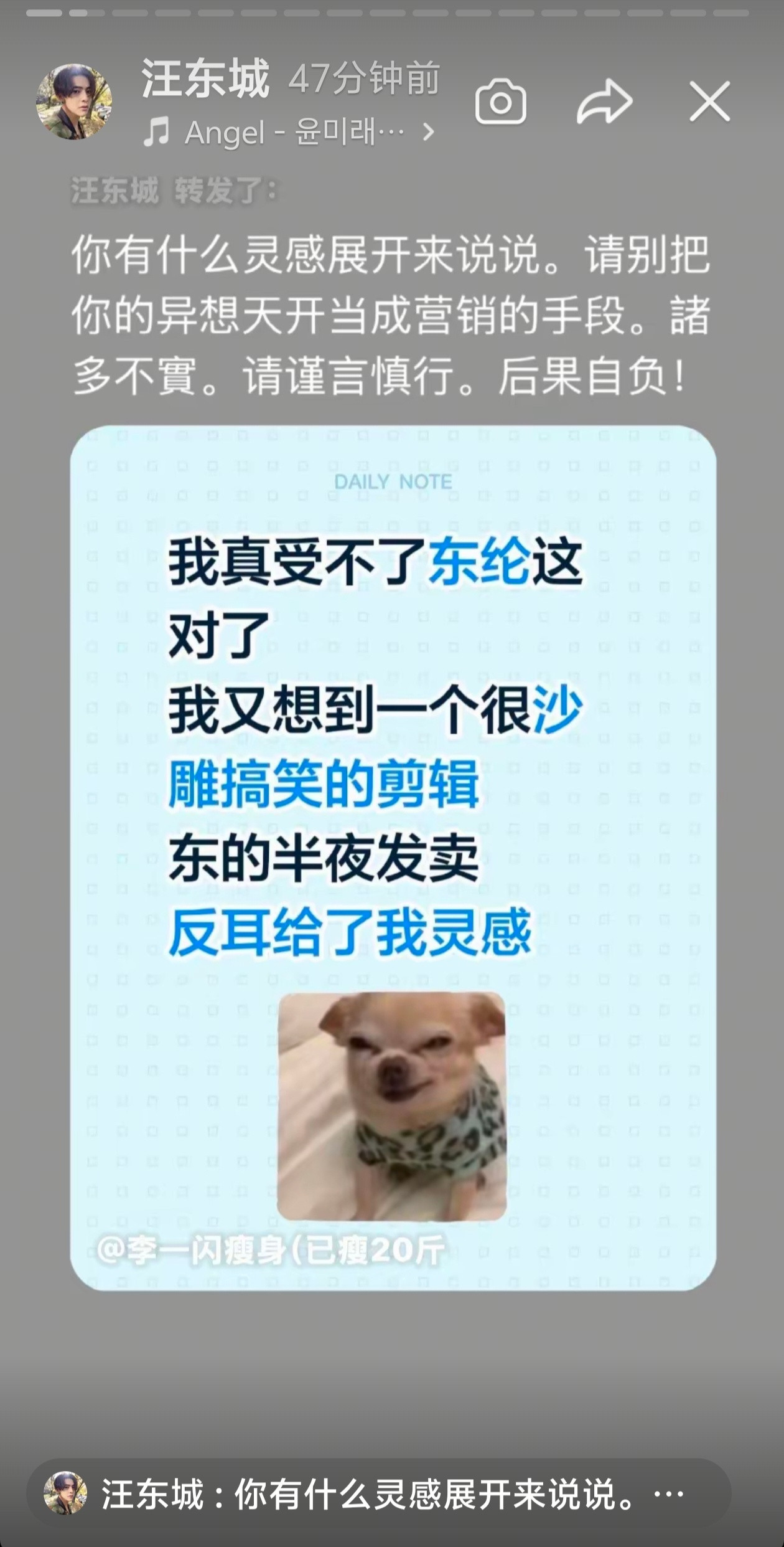我家兔子狗这次真的认真了