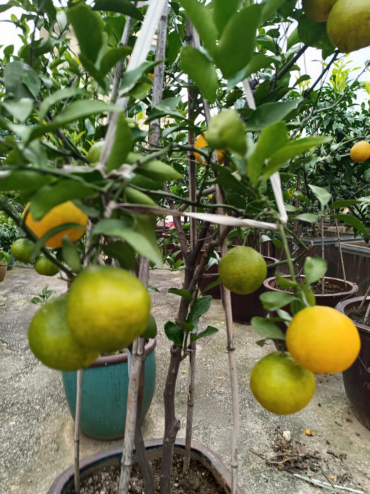 大家发现没有，人一旦退休，朋友也少了，同学也不联系了，就连亲戚也很少来往，真是老