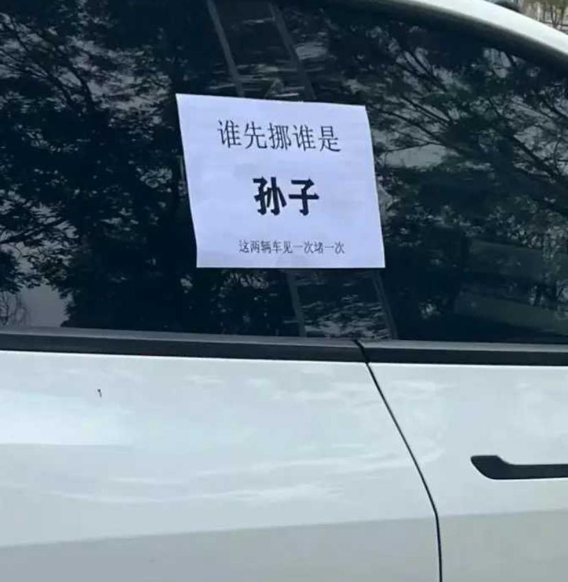等着交警给拖走吧