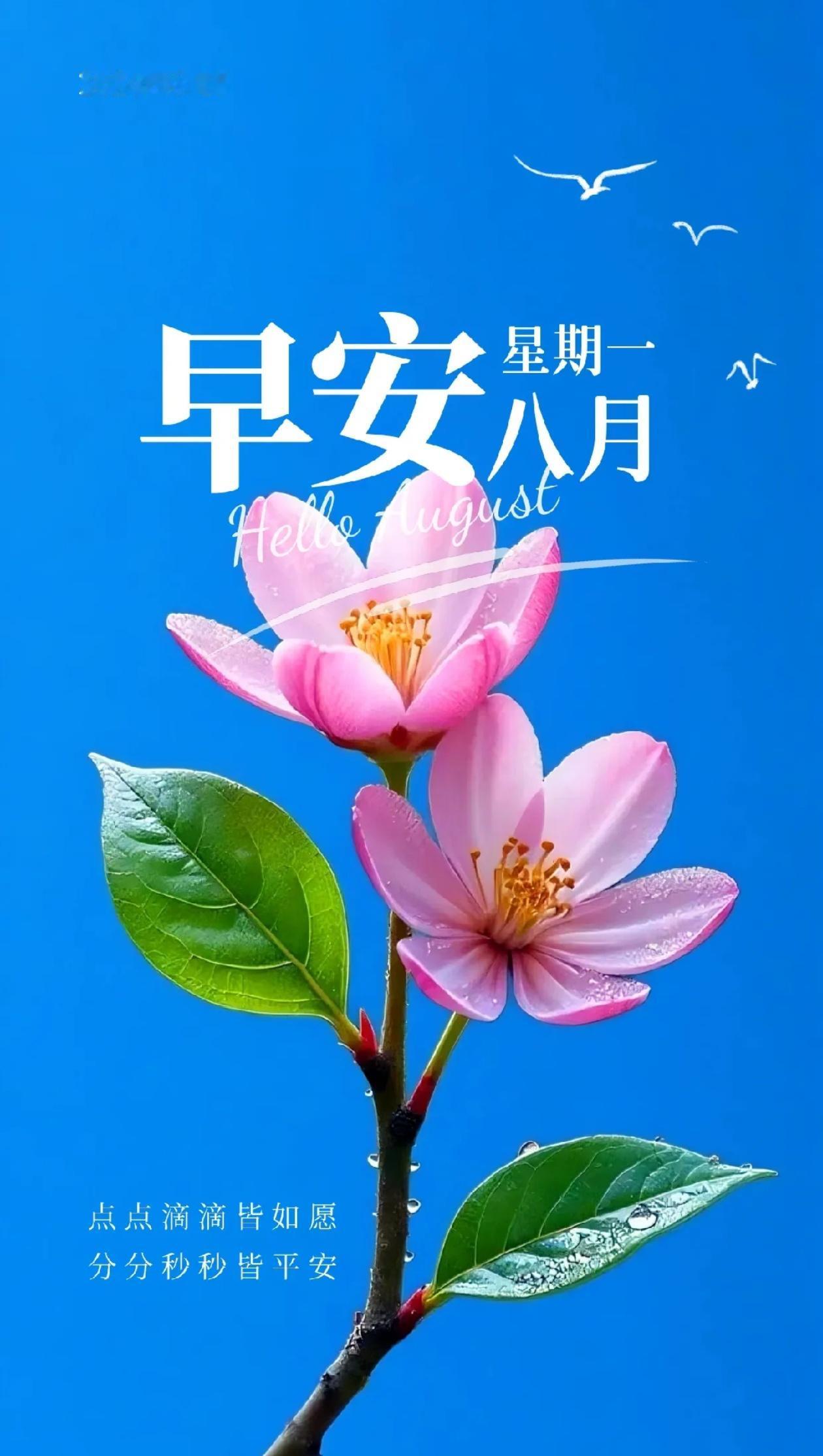 秋晨寄语，人主漫漫无同调，心定何愁路路遥。2026./08.17.[